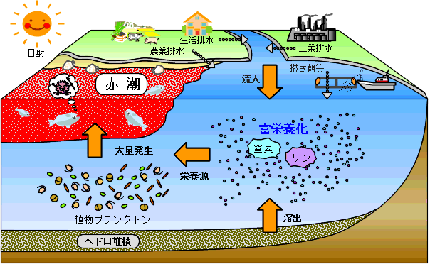 ��Ĭȯ���Υץ�����