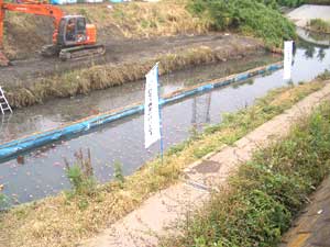 ���Τ����־����Ǥ�