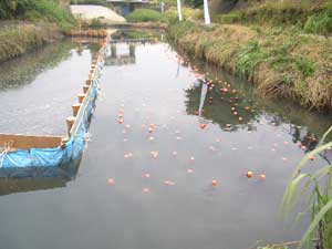 ��ή�����־����Ǥ�