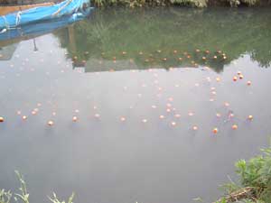 ��ή�����־����Ǥ�