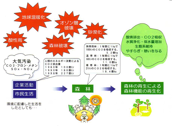 �����˲�